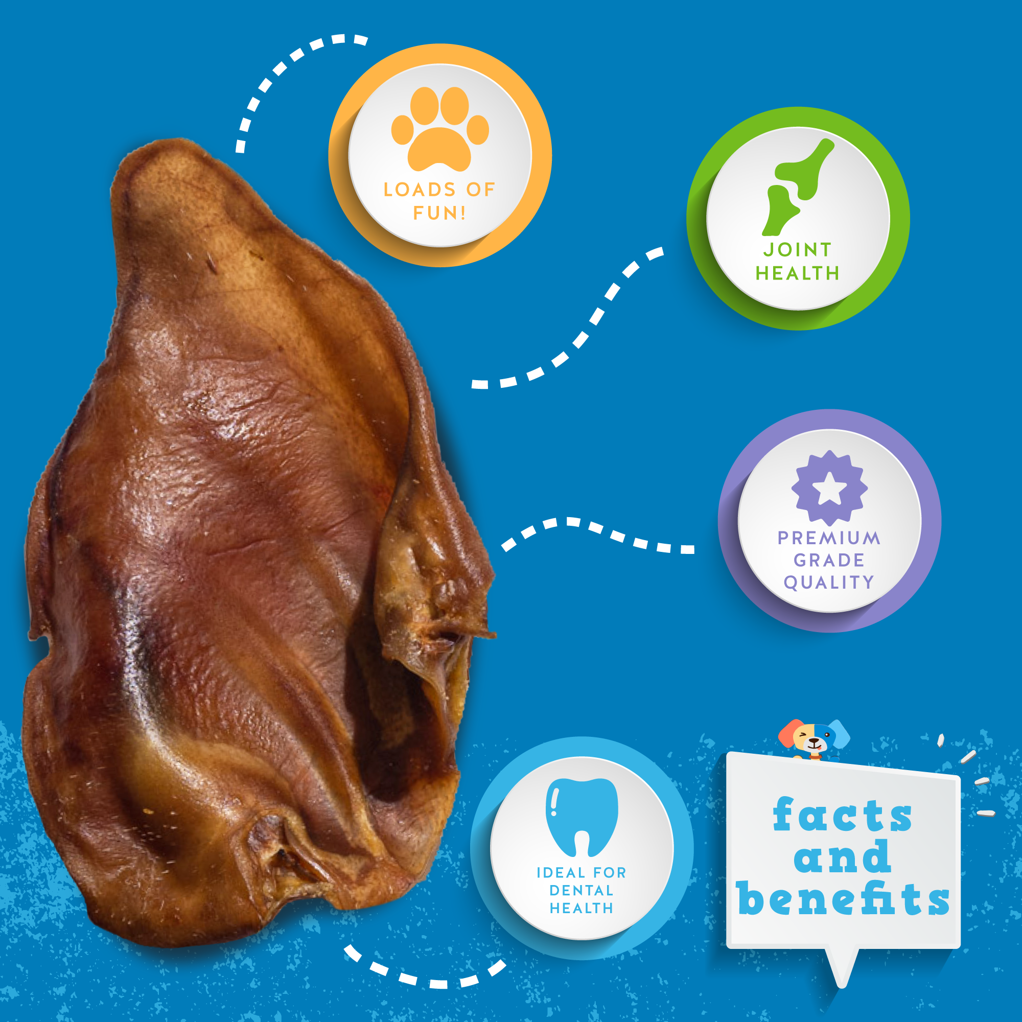 5-in-1 Chew Bundle – Long-Lasting, Vet-Approved Chews Dogs Love