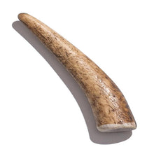 Load image into Gallery viewer, Elk Antler - Small