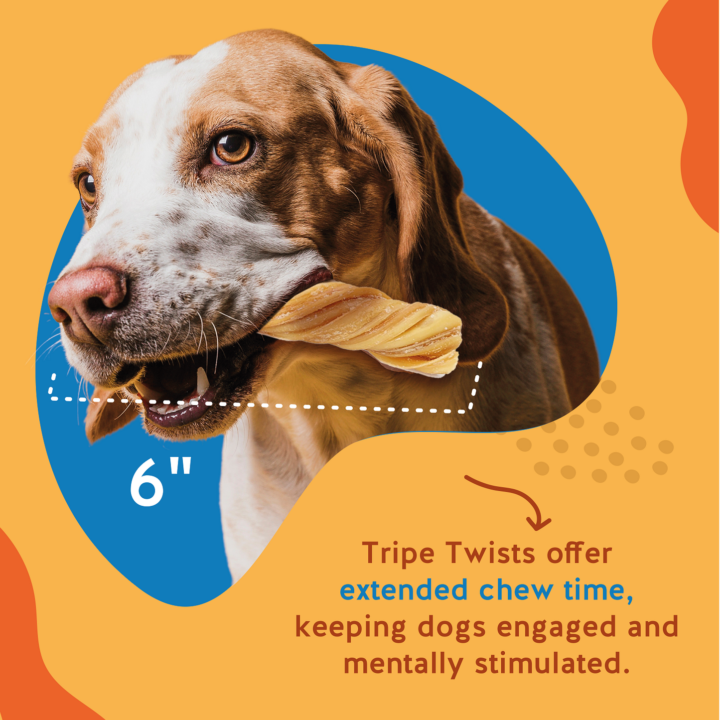 Tripe Twist- 6 Inch