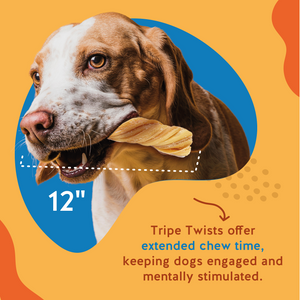 Tripe Twist- 12 Inch