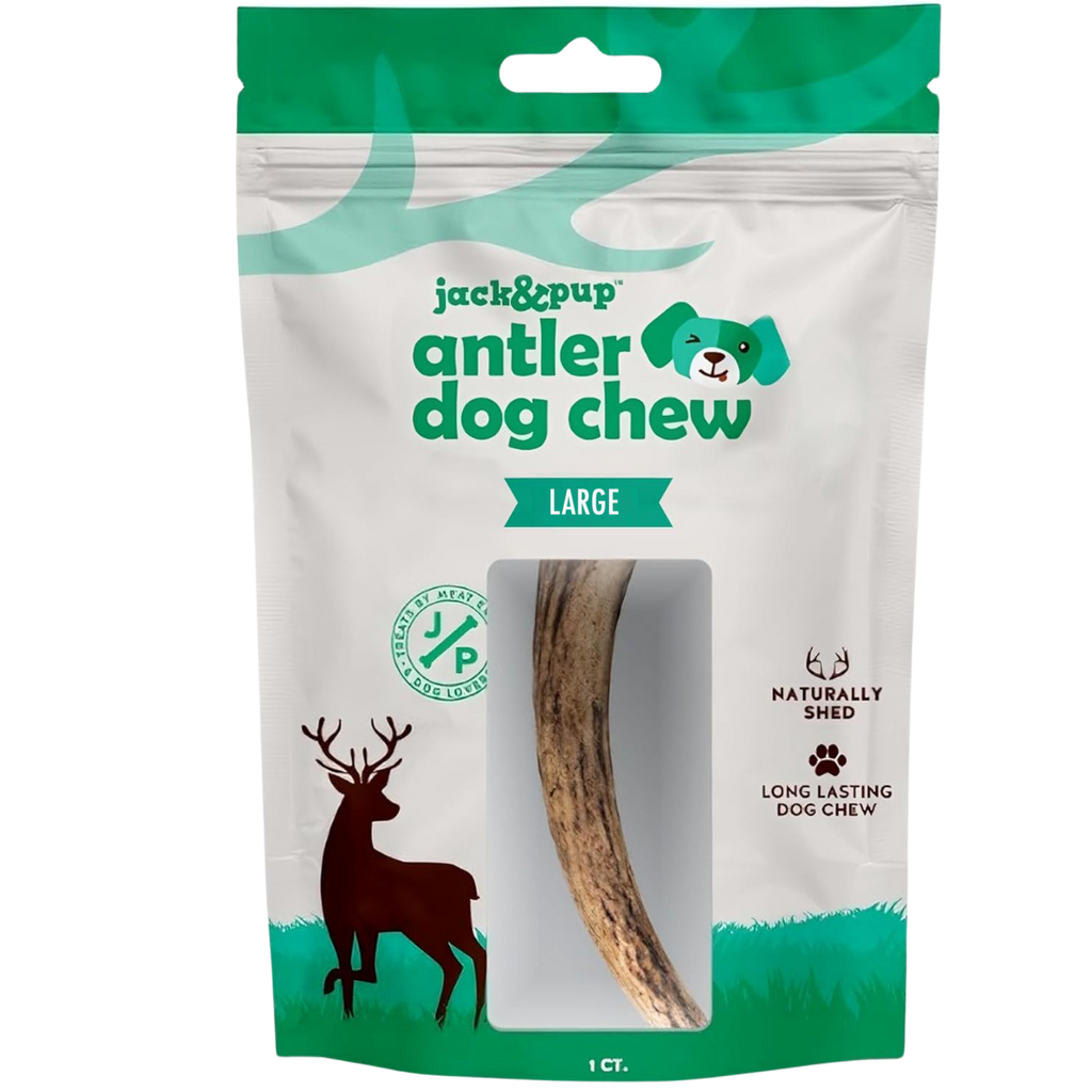 Elk Antler - Large