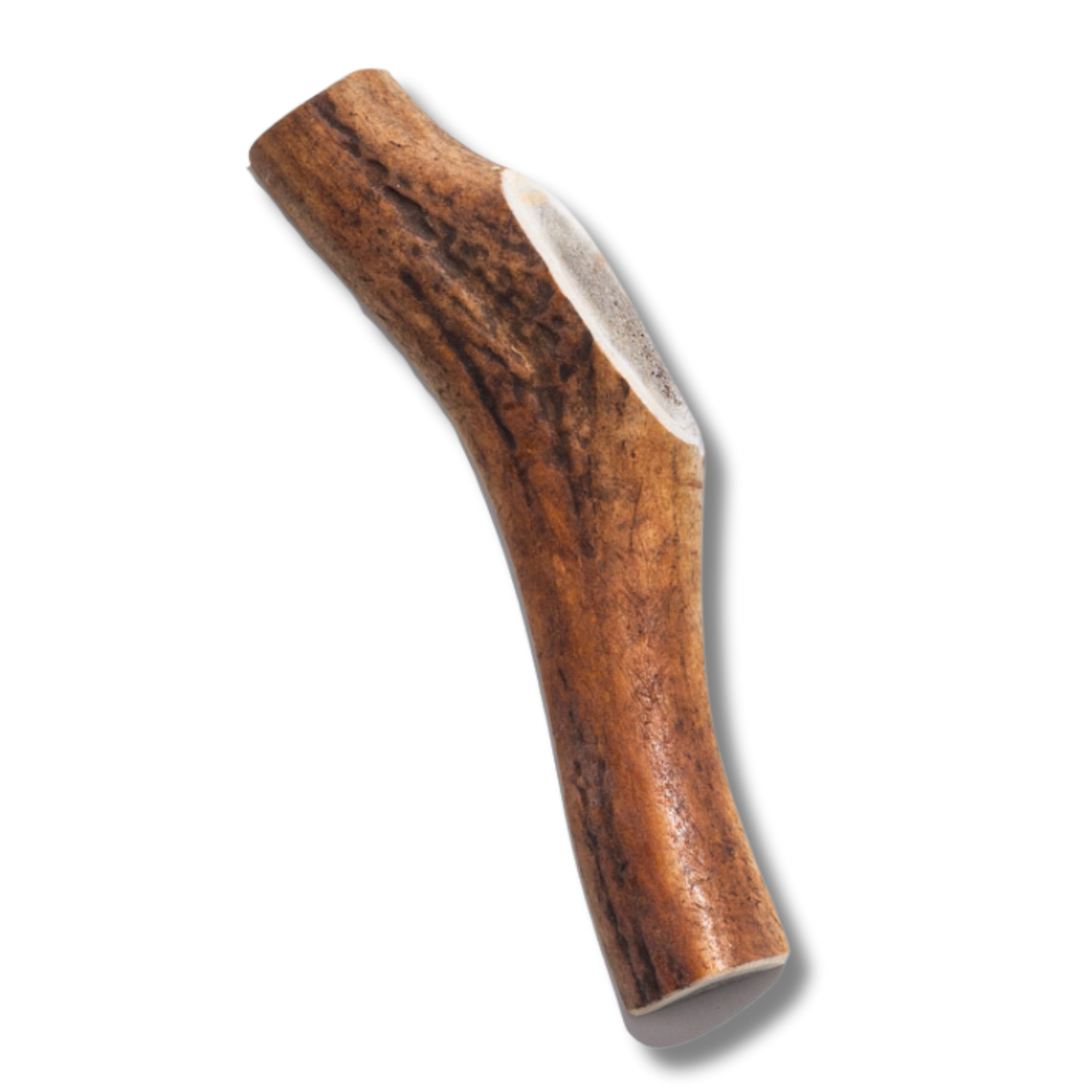 Elk Antler - Extra Large