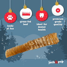 Load image into Gallery viewer, Holiday Trachea