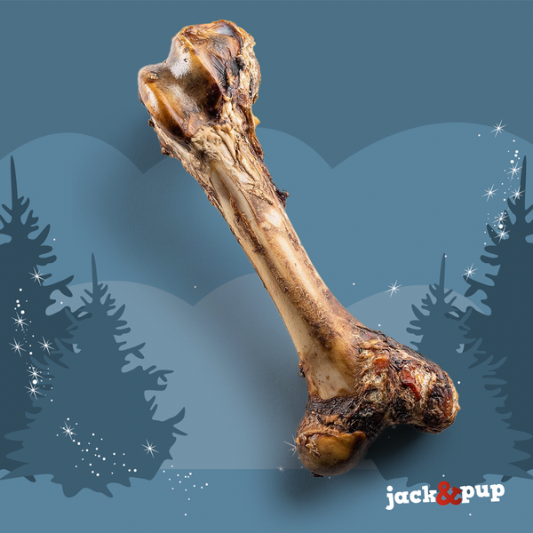 Holiday Mammoth Bone