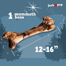 Load image into Gallery viewer, Holiday Mammoth Bone