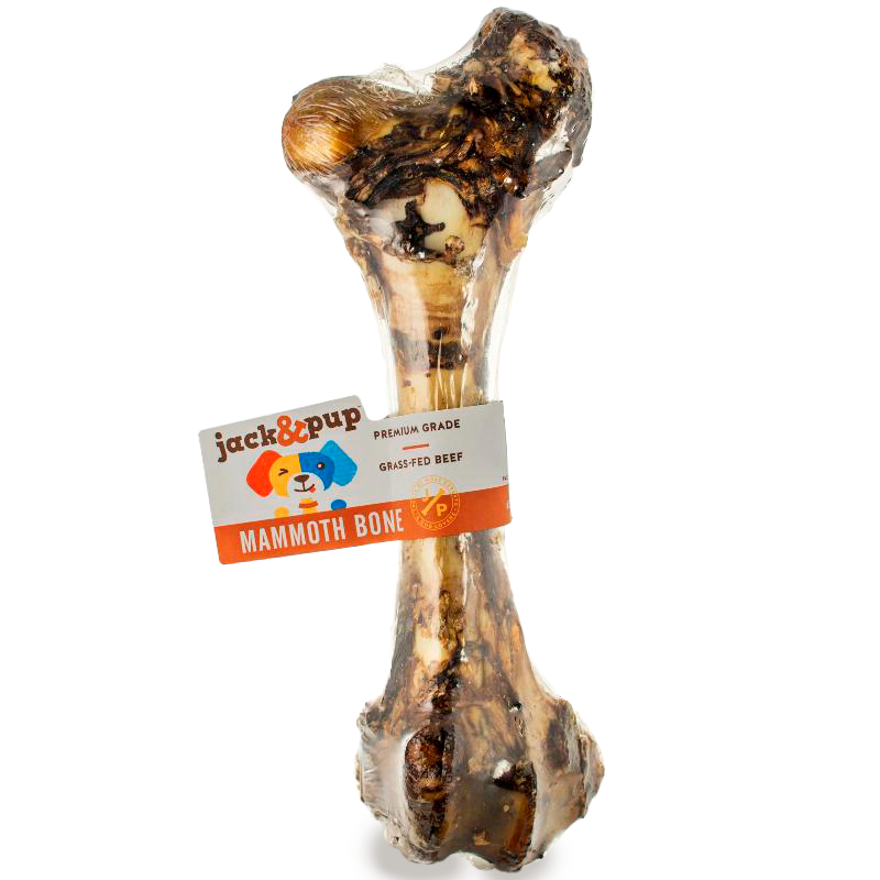 Mammoth Bone