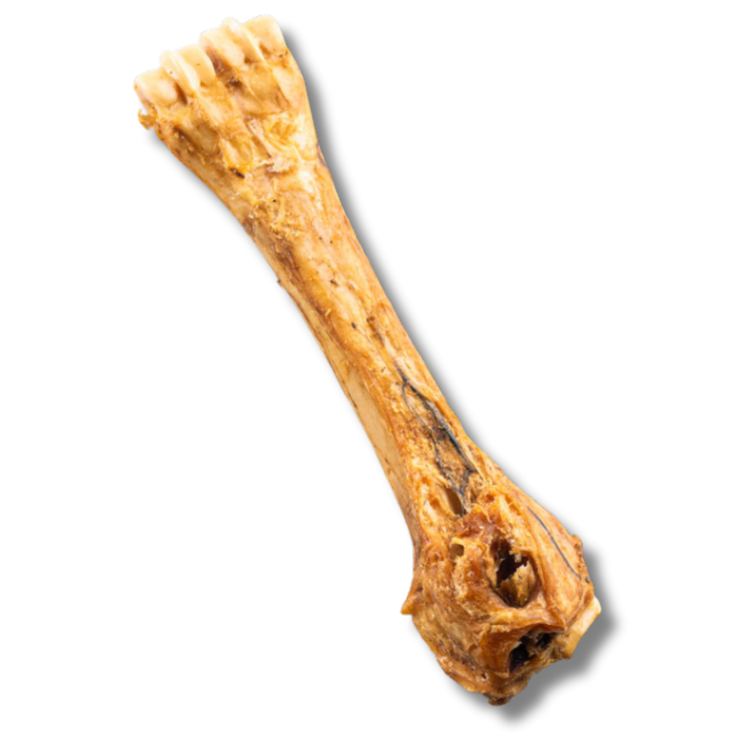 Shin Bone - 8 Inch