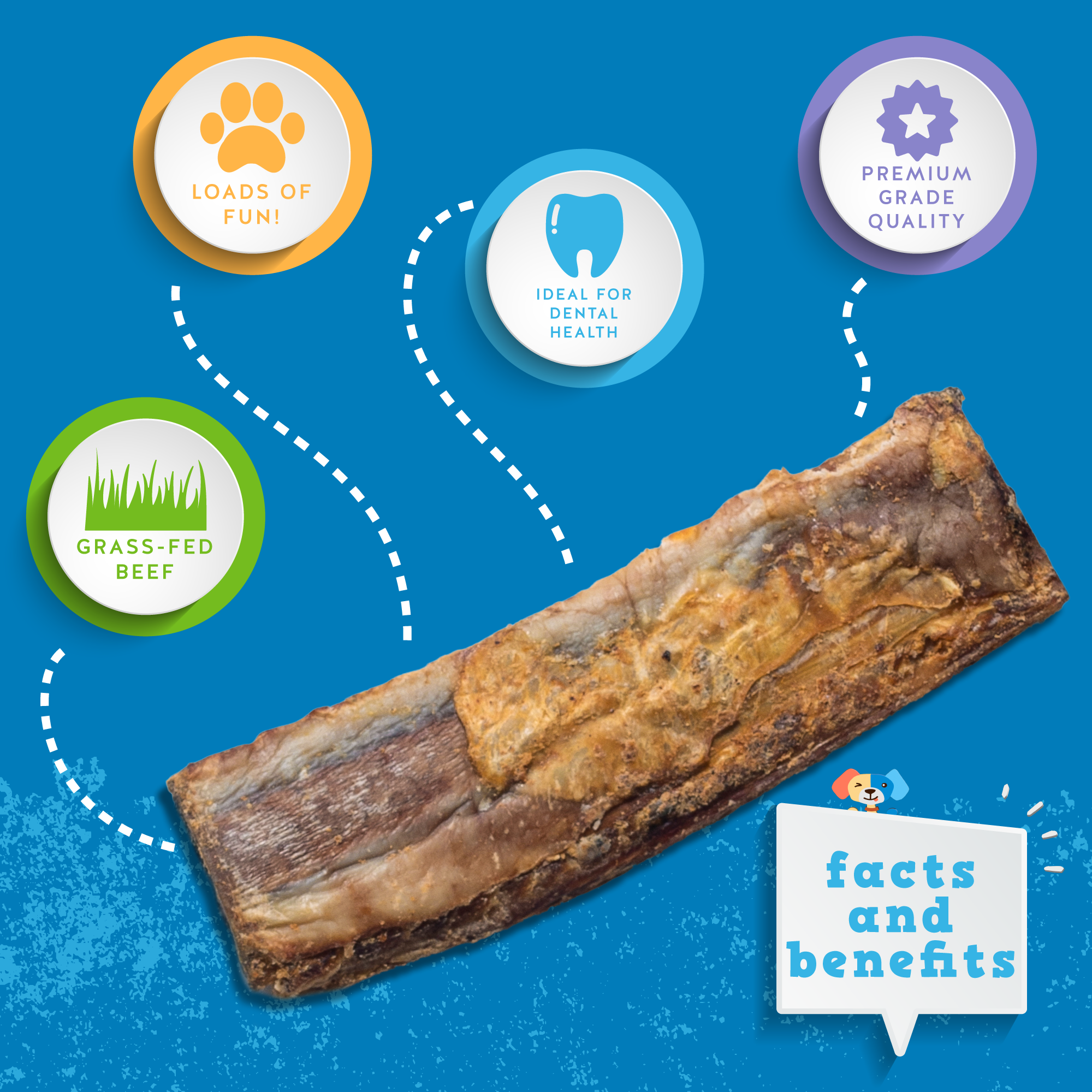 Dogs eat beef clearance rib bones