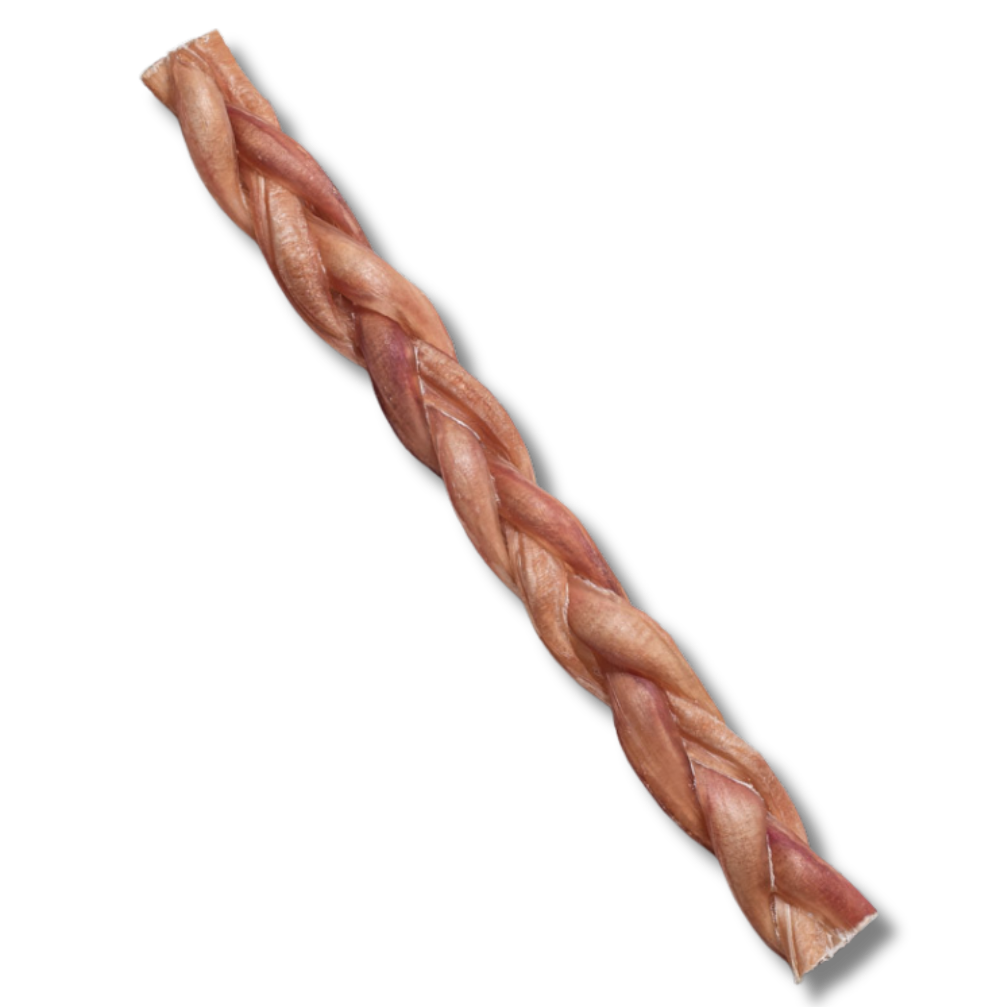 12-Inch Braided Bully Stick - Jack&Pup