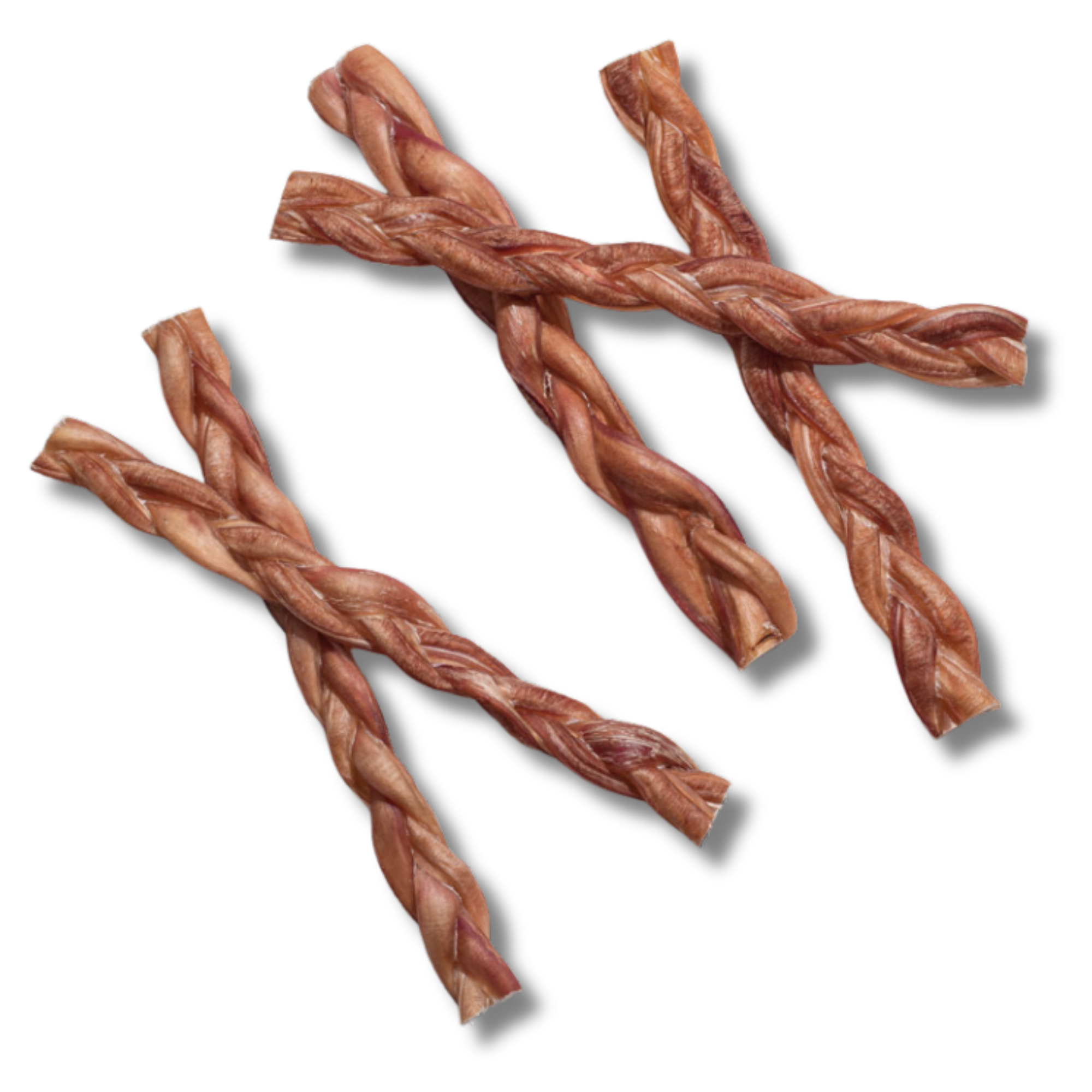 12-Inch Braided Bully Stick - Jack&Pup