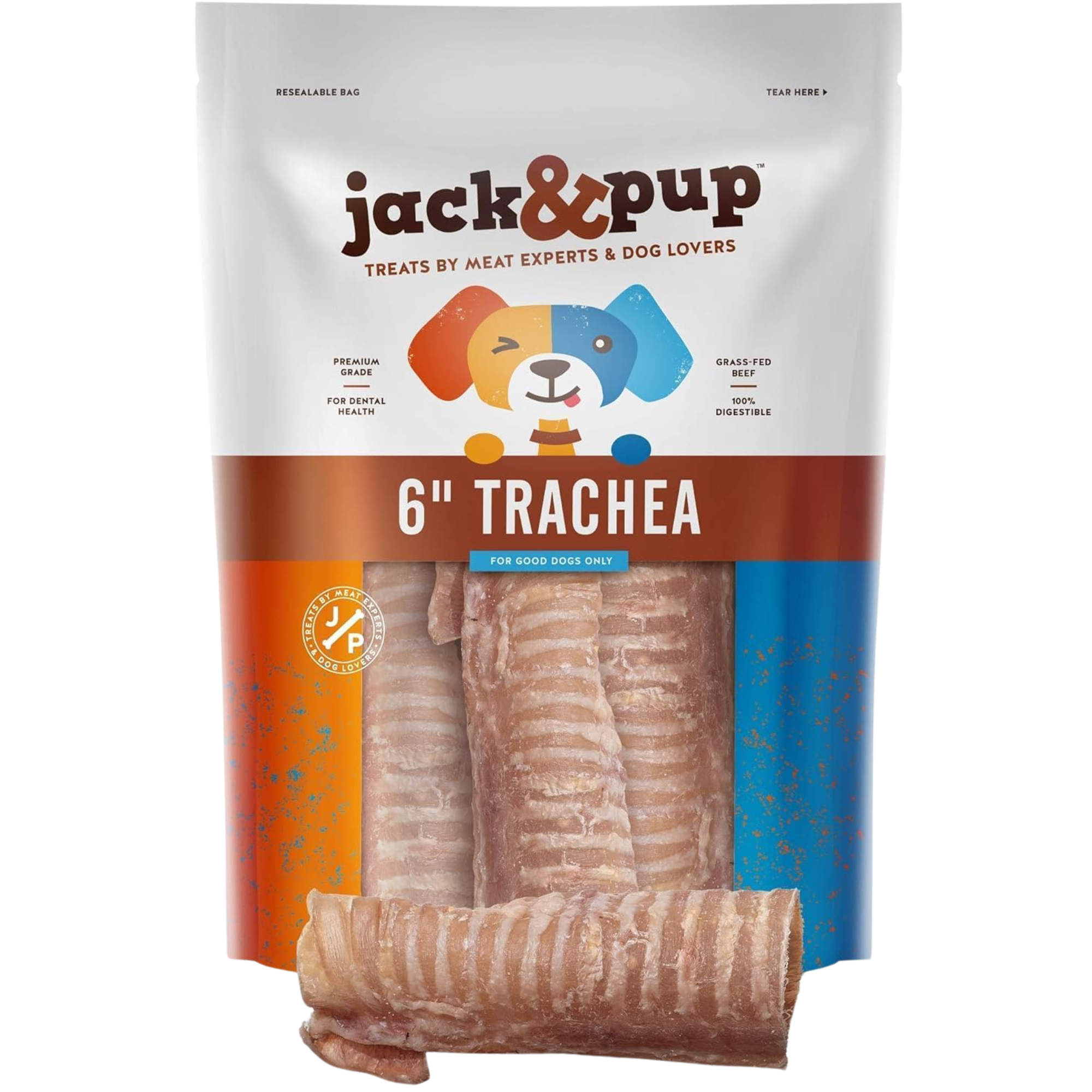 Trachea - 6 Inch - Jack&Pup