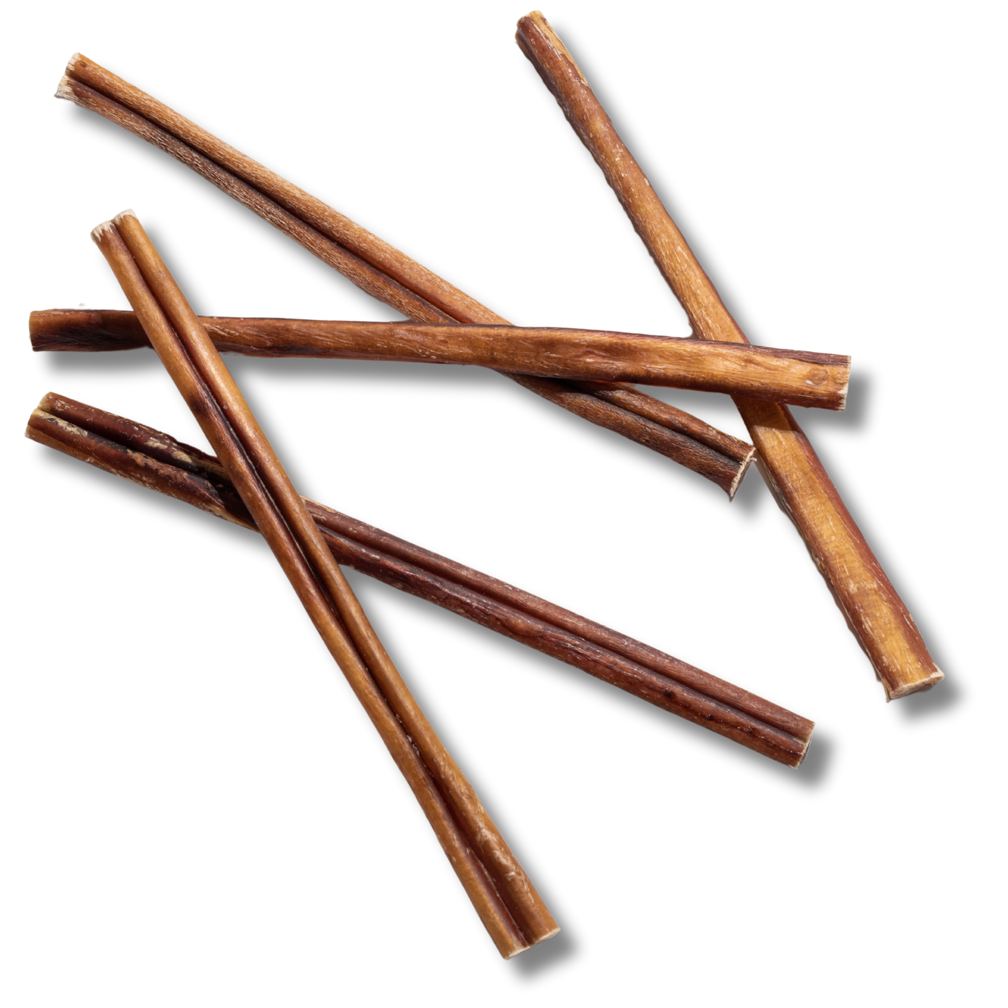 12-Inch Standard Bully Stick - Jack&Pup