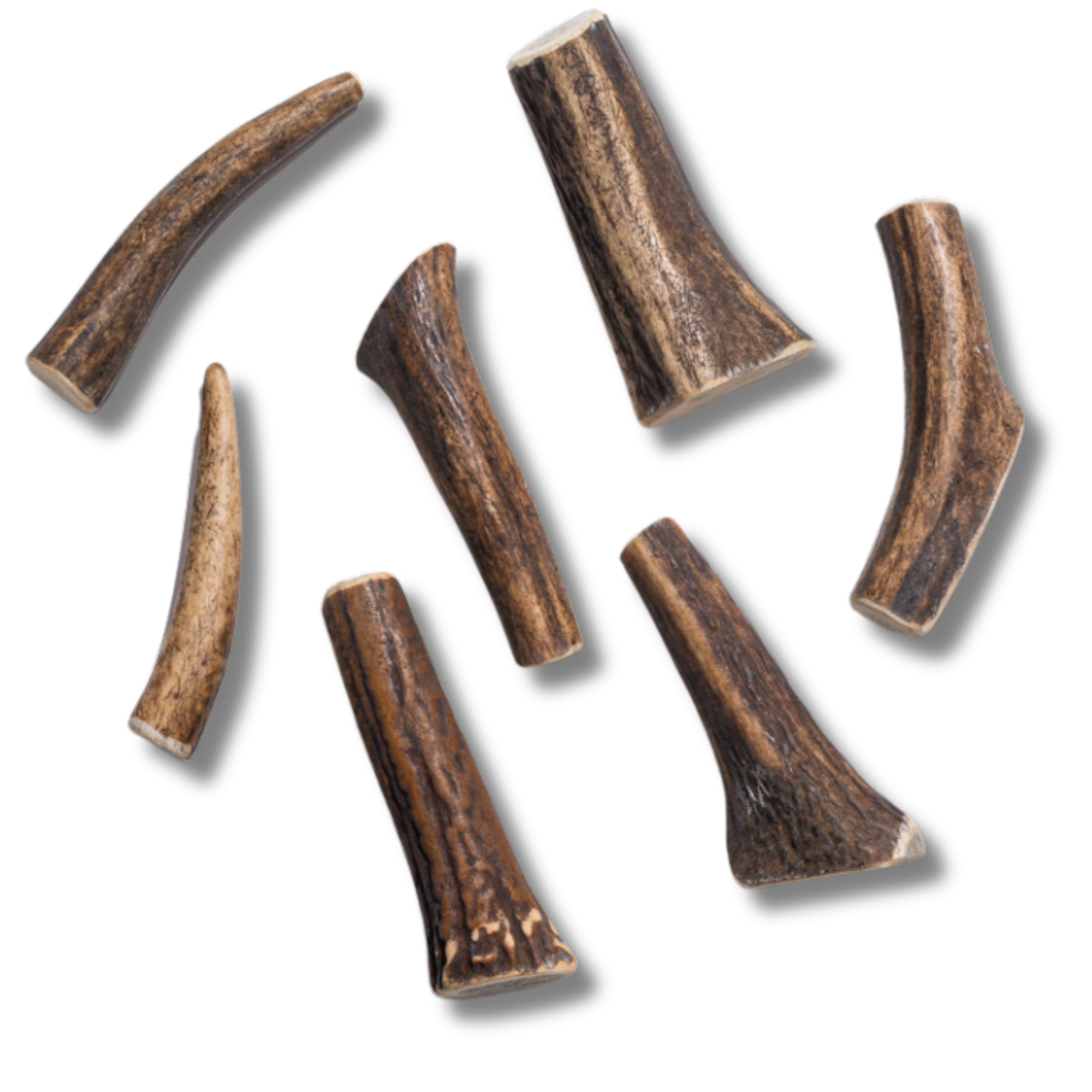 Elk Antler - Extra Large - Jack&Pup