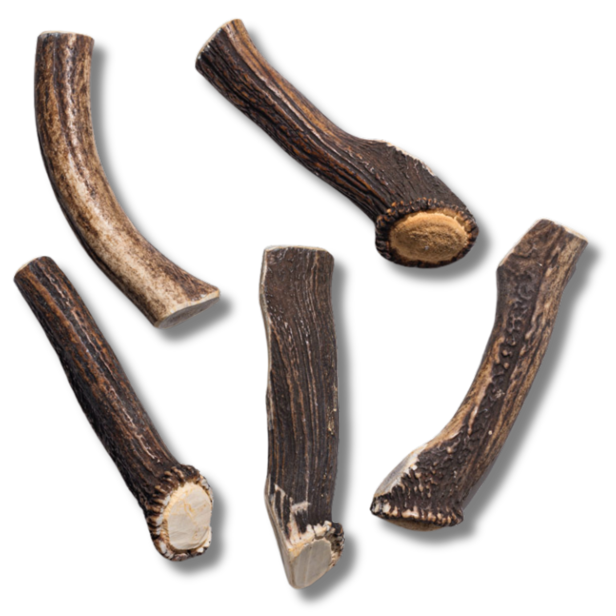 Elk Antler - Jumbo - Jack&Pup