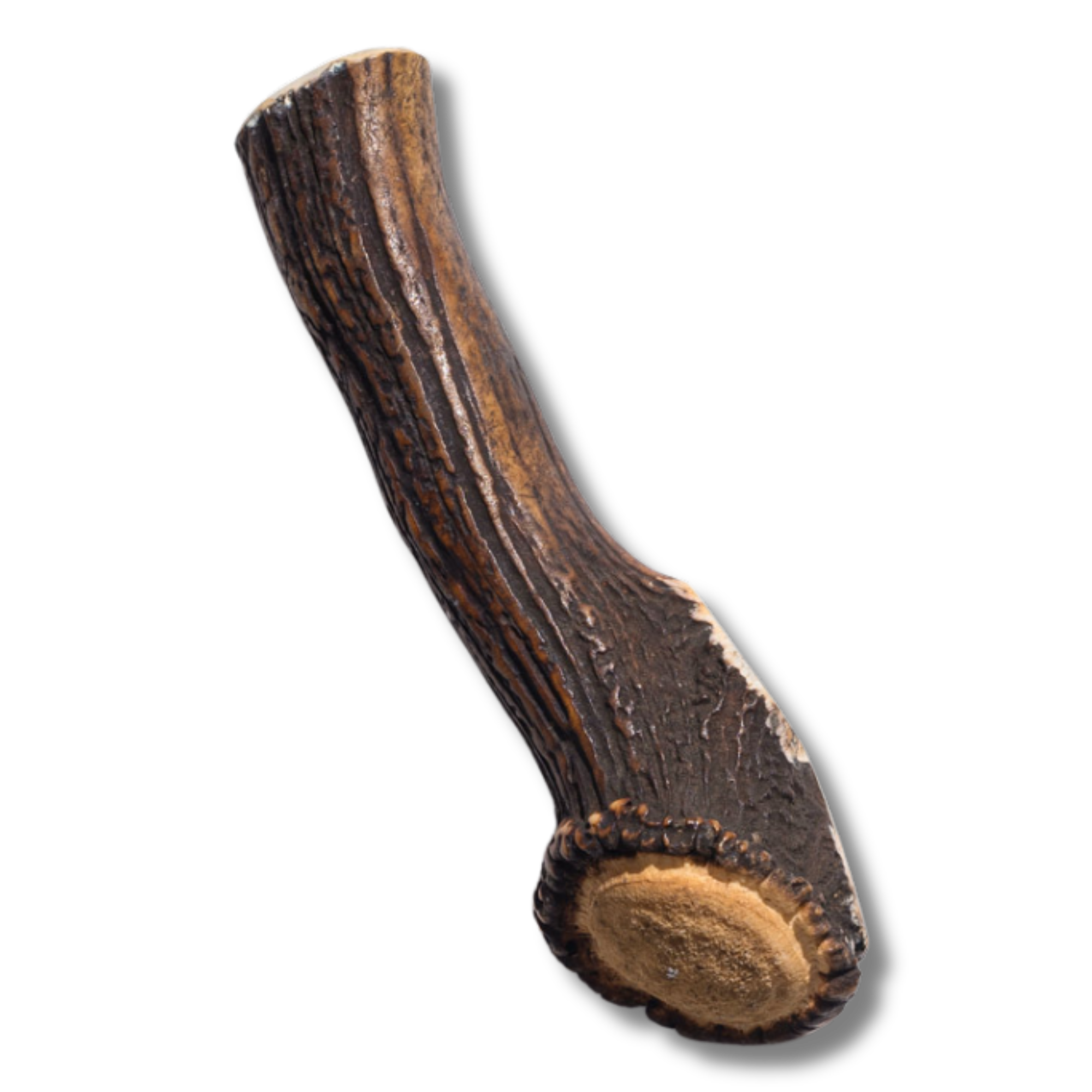 Elk Antler - Jumbo - Jack&Pup