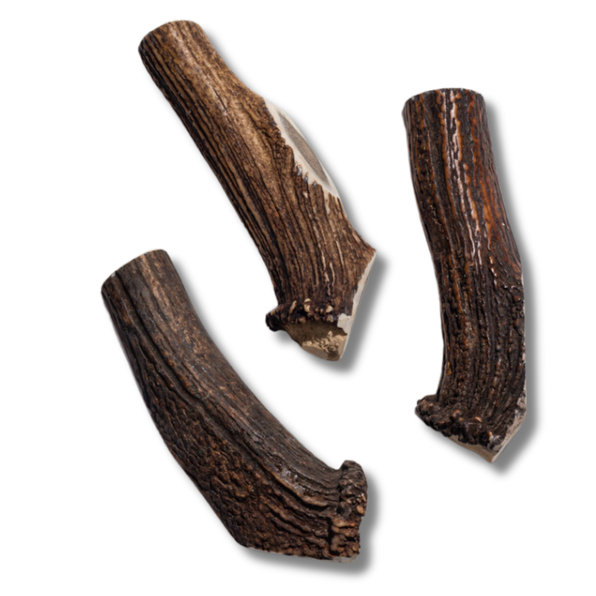 Elk Antler - Large - Jack&Pup