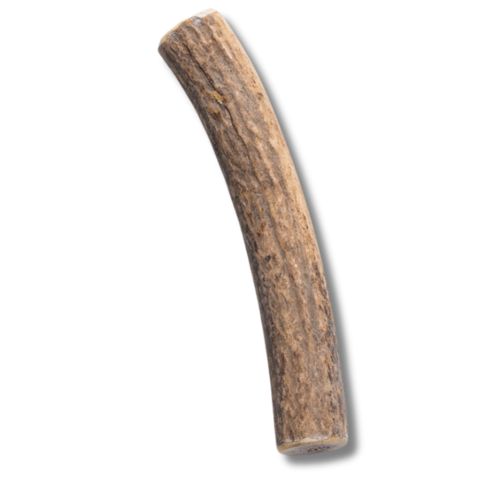 Elk Antler - Small - Jack&Pup