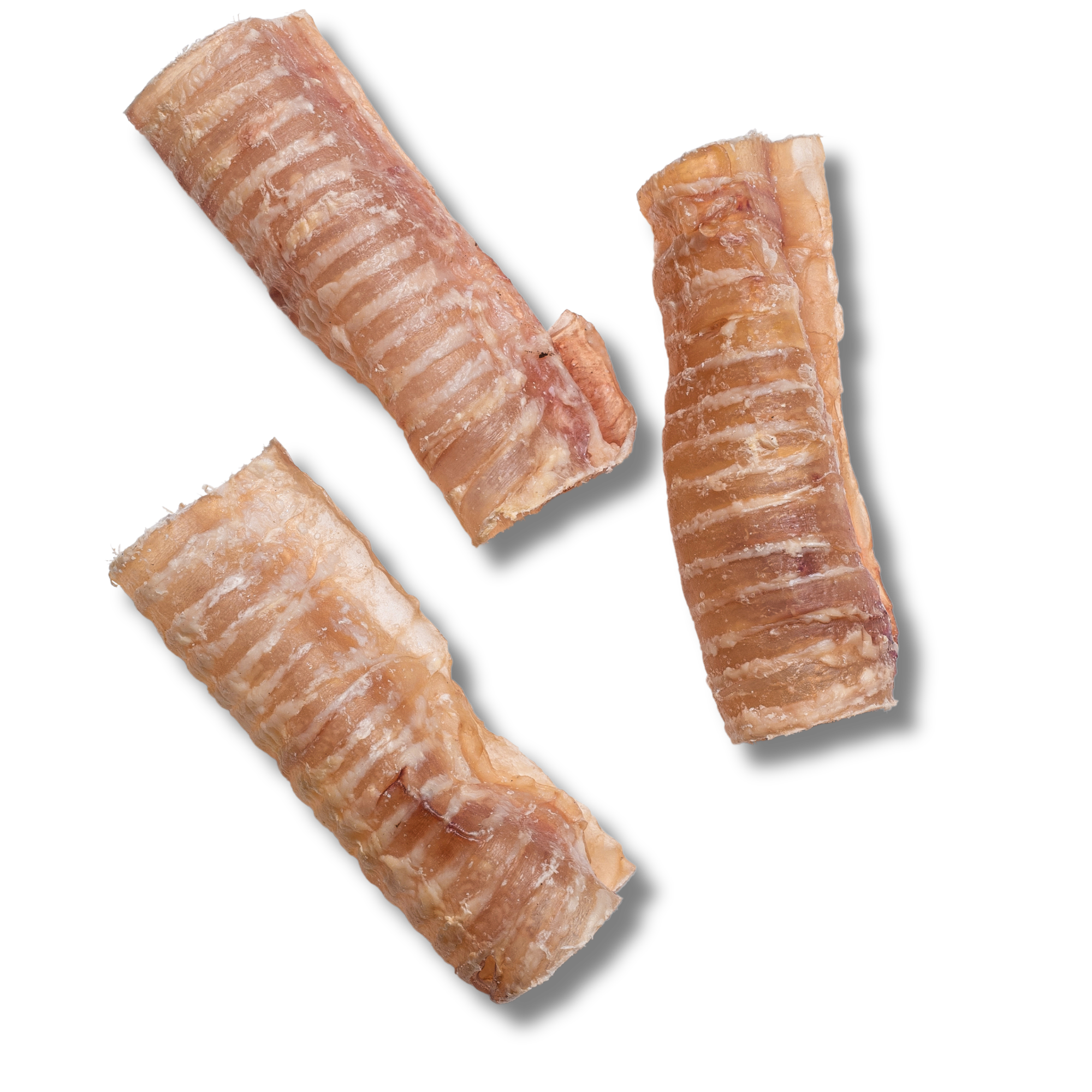 Trachea Chew - 6 Inch - Jack&Pup
