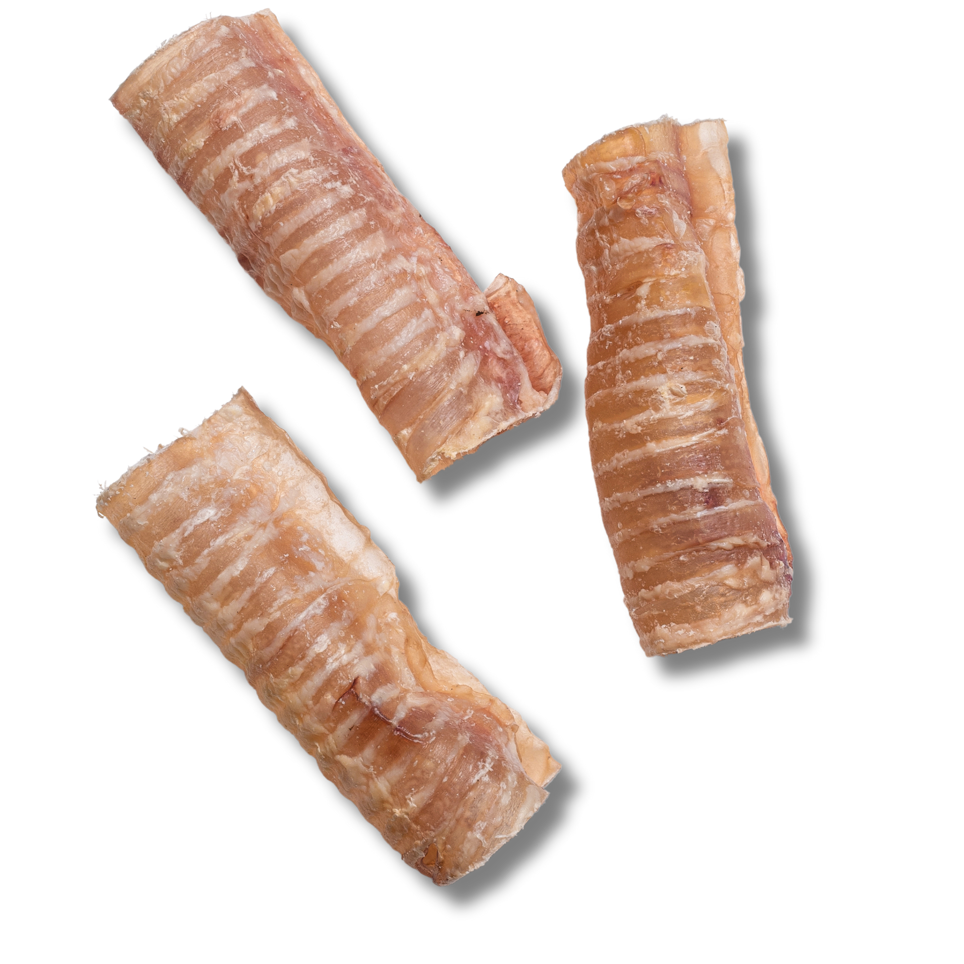 Trachea Chew - 6 Inch | Jack&Pup Trachea Chew - 6 Inch | Jack&Pup