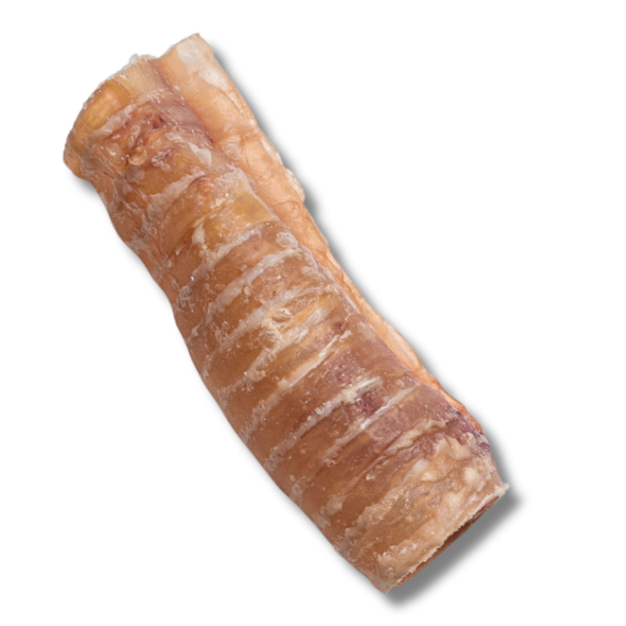 Trachea Chew - 6 Inch - Jack&Pup