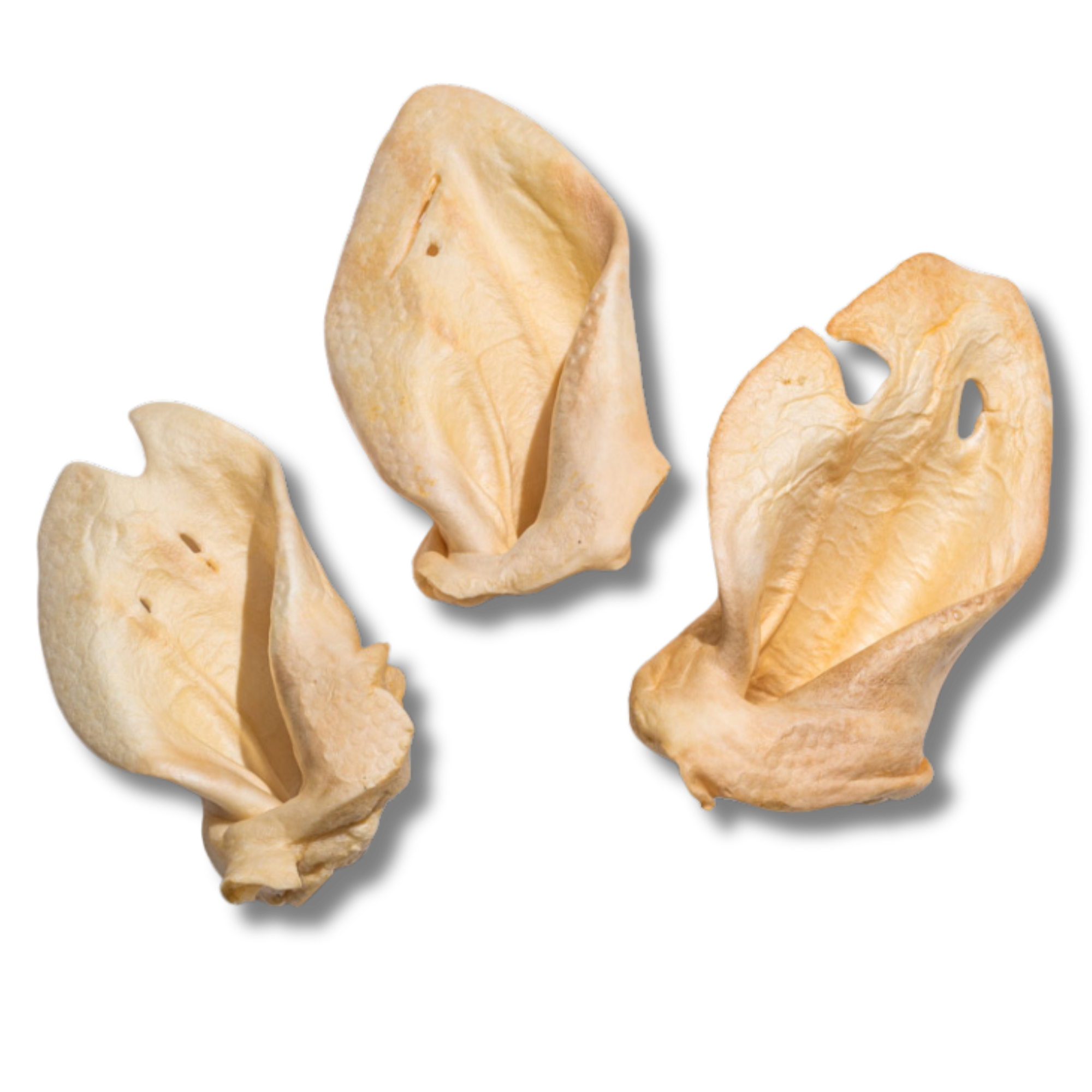 Cow Ear Dog Chews - Jack&Pup