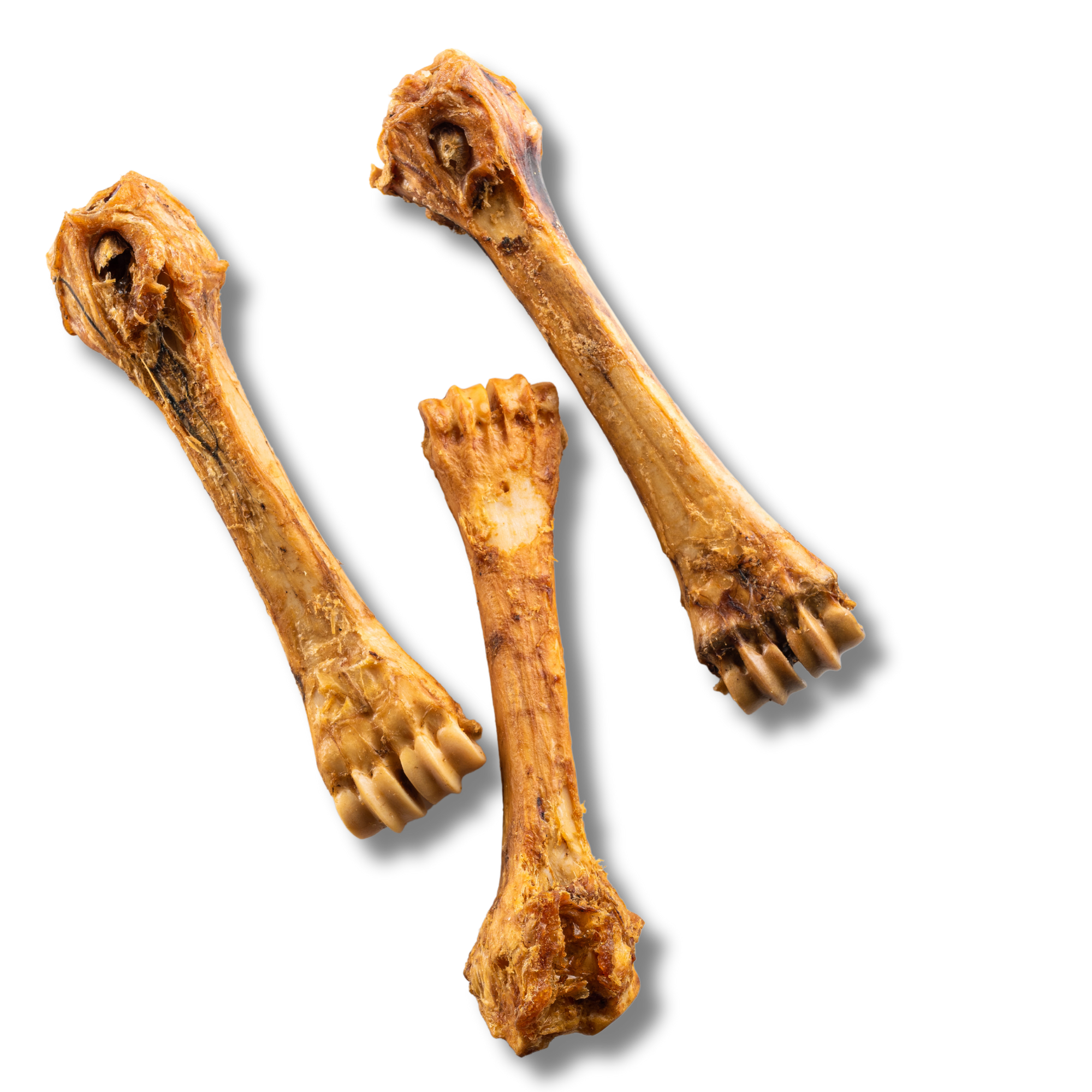 Shin Bones - 8 Inch - Jack&Pup
