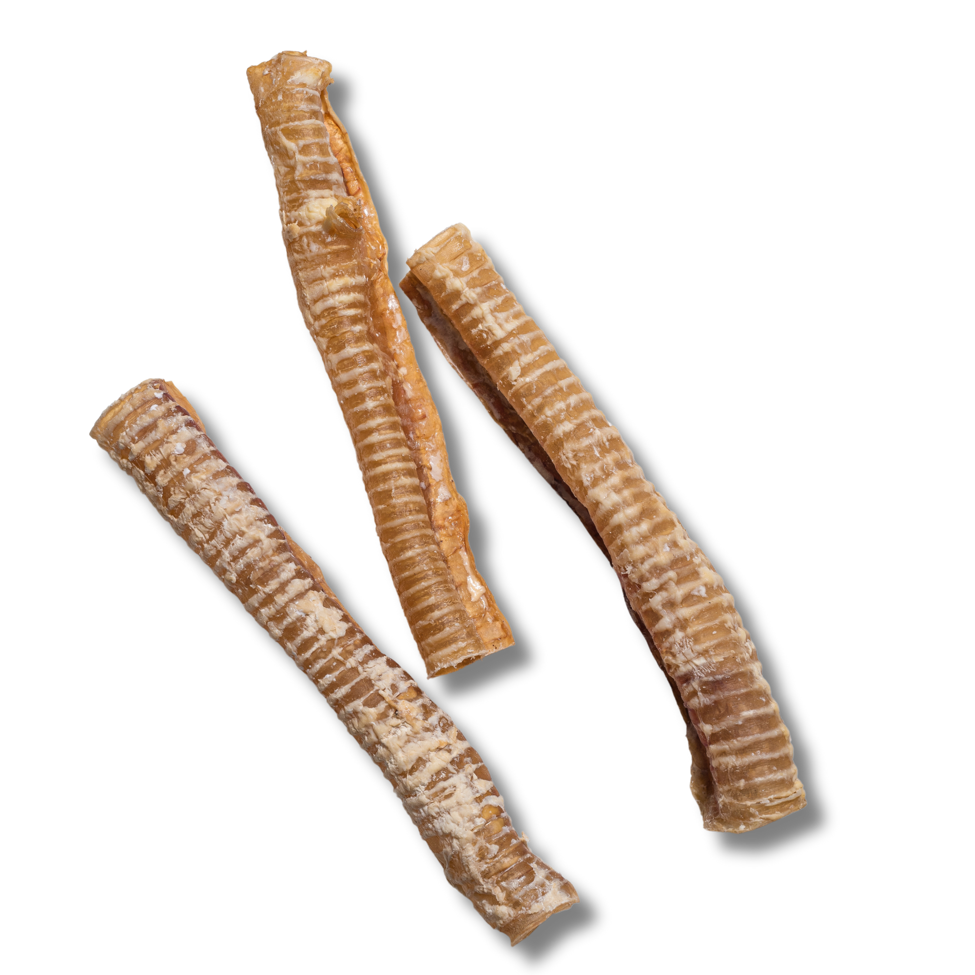 Trachea Chew - 12 Inch - Jack&Pup