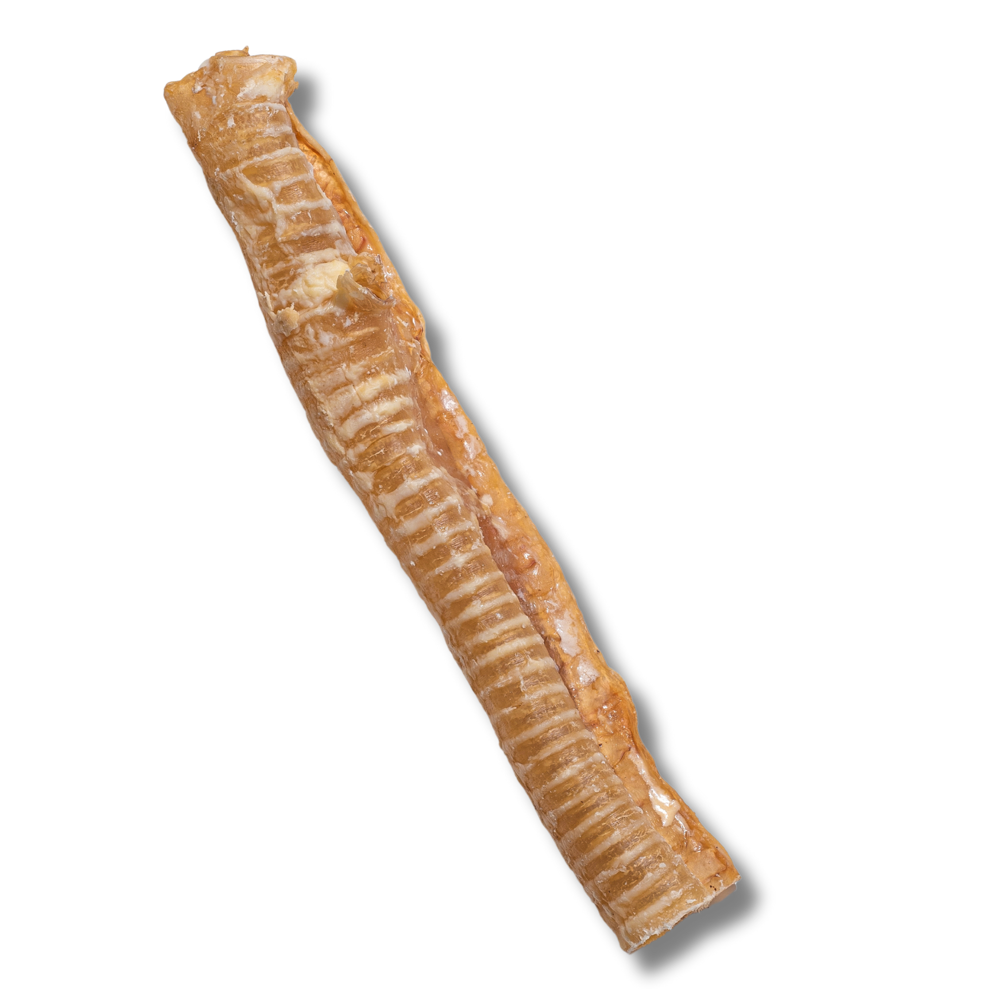 Trachea Chew - 12 Inch - Jack&Pup