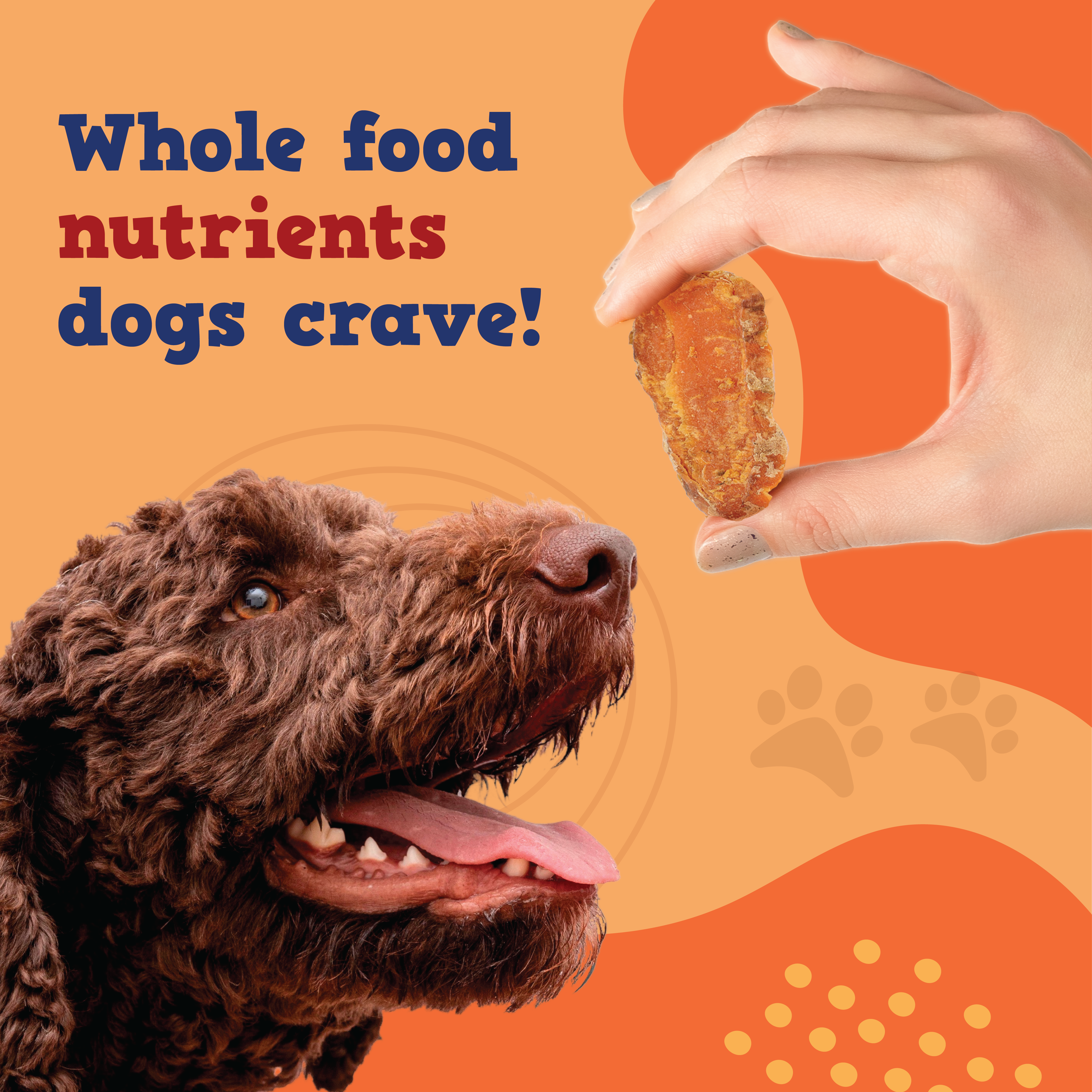 Just Sweet Potato 14 oz - Jack&Pup