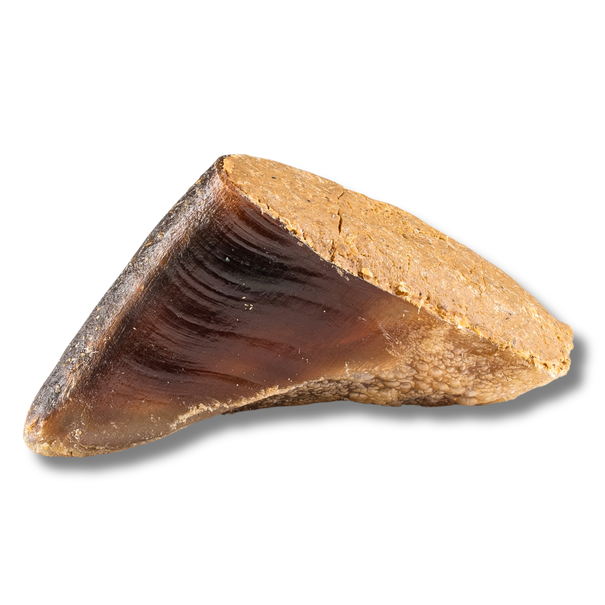 Peanut Butter Stuffed Cow Hooves - Jack&Pup