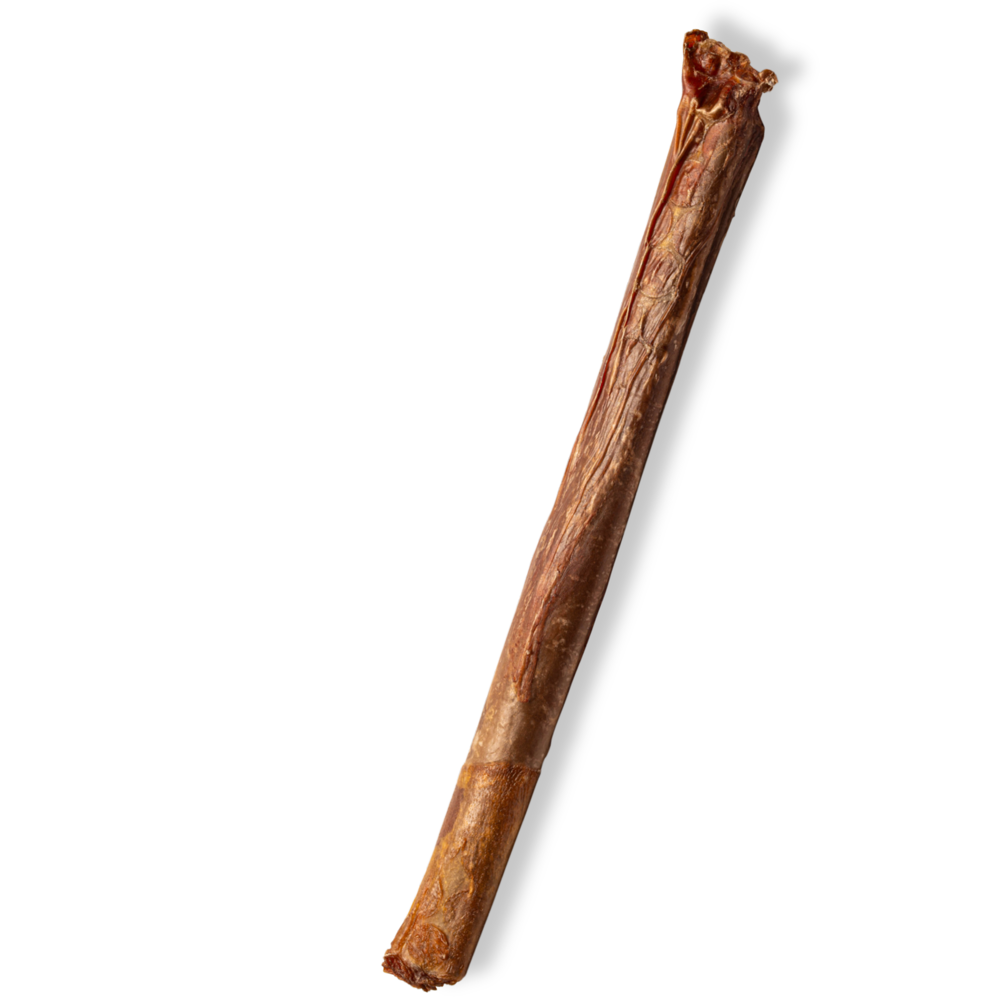 12-Inch X-treme Bully Stick - Jack&Pup