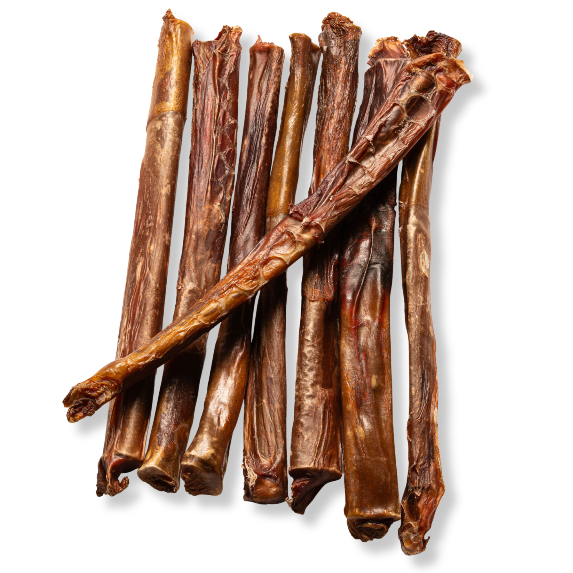 12-Inch X-treme Bully Stick - Jack&Pup