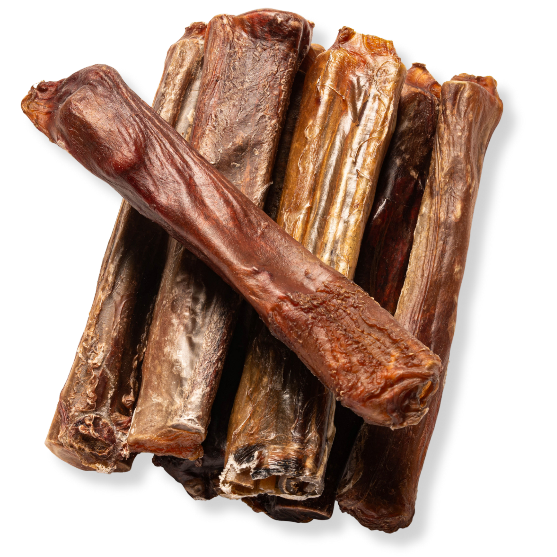 6-Inch X-treme Bully Stick - Jack&Pup