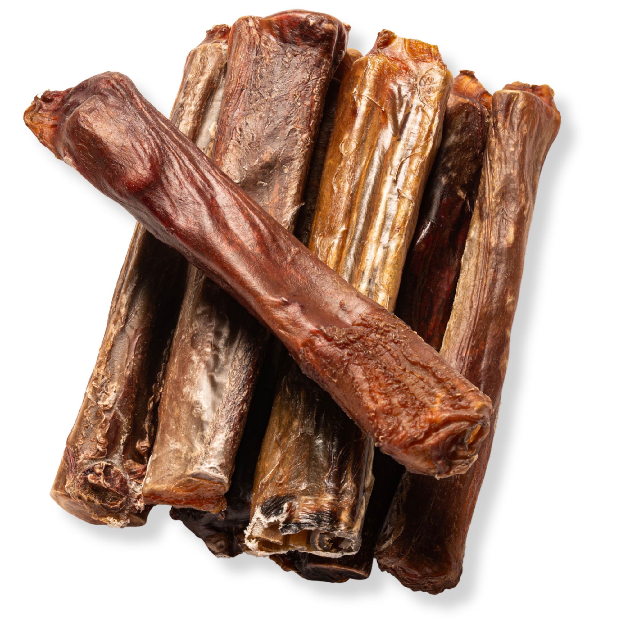 6-Inch X-treme Bully Stick - Jack&Pup