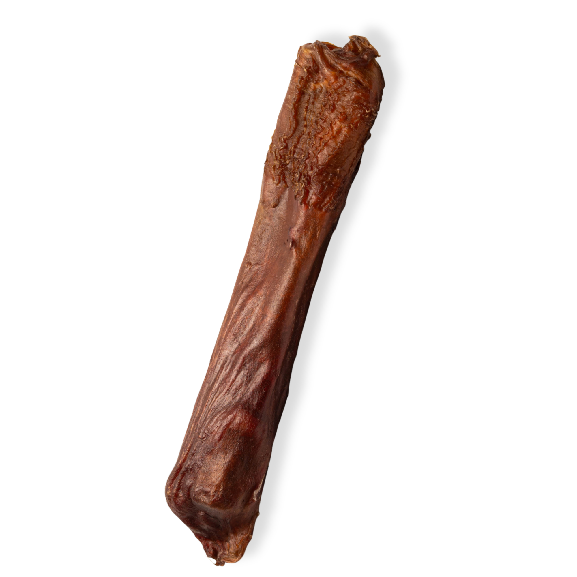6-Inch X-treme Bully Stick - Jack&Pup