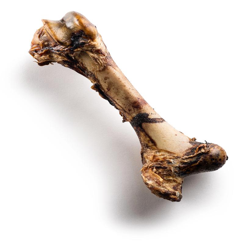 Mammoth Bone