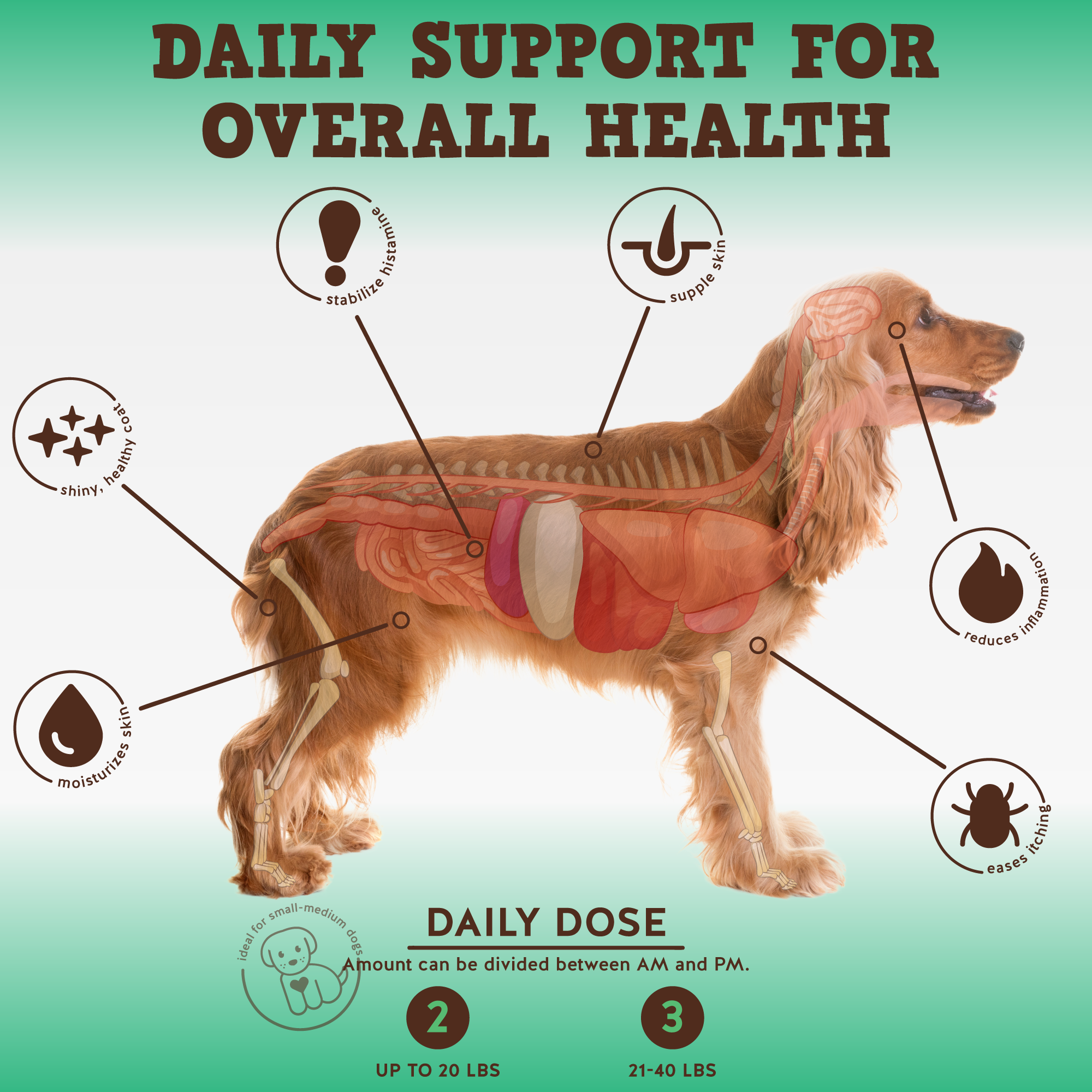 Aller-Care Immune and Allergy Support - Jack&Pup