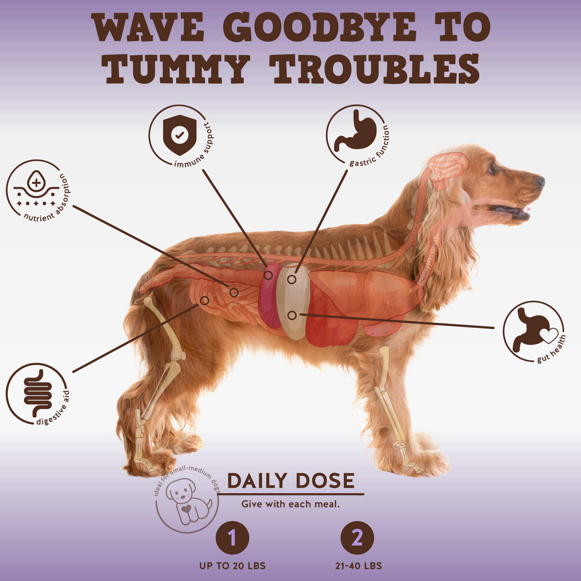 Pro-Digest Digestive Support - Jack&Pup