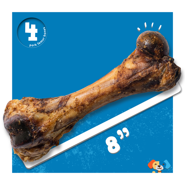 Pork Femur Bones